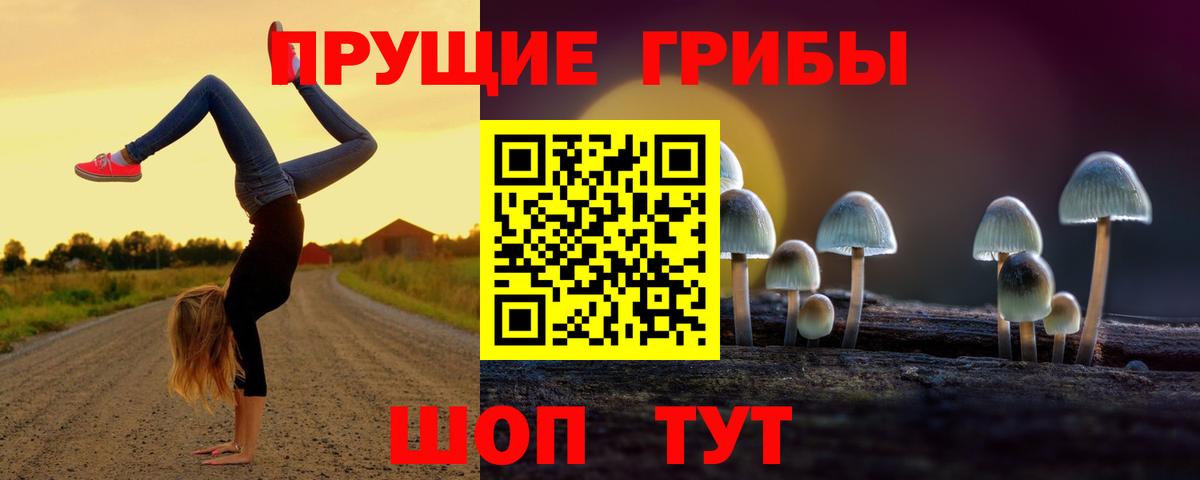 Псилоцибиновые грибы GOLDEN TEACHER Нальчик