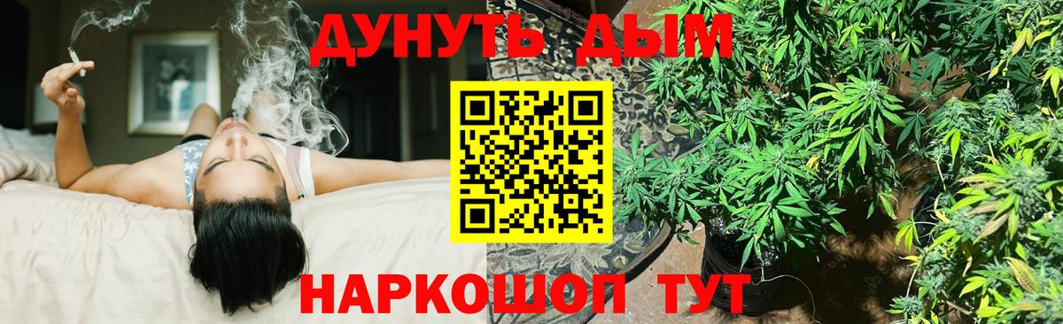 Конопля семена Нальчик
